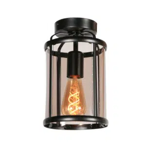Steinhauer Plafondlamp Pimpernel 5973ZW zwart met rookglas Ø16 cm